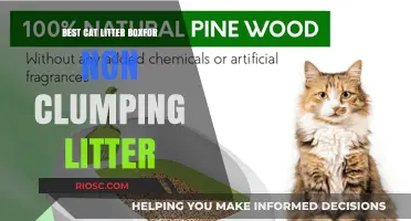 Top Non-Clumping Cat Litter Box Options: A Comprehensive Guide for Pet Owners