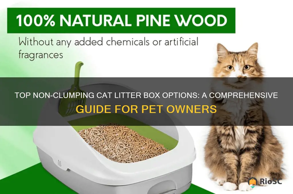 best cat litter boxfor non clumping litter