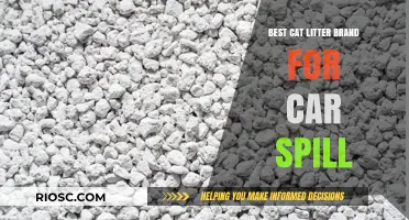 Top Cat Litter Brands to Prevent Car Spills: A Comprehensive Guide