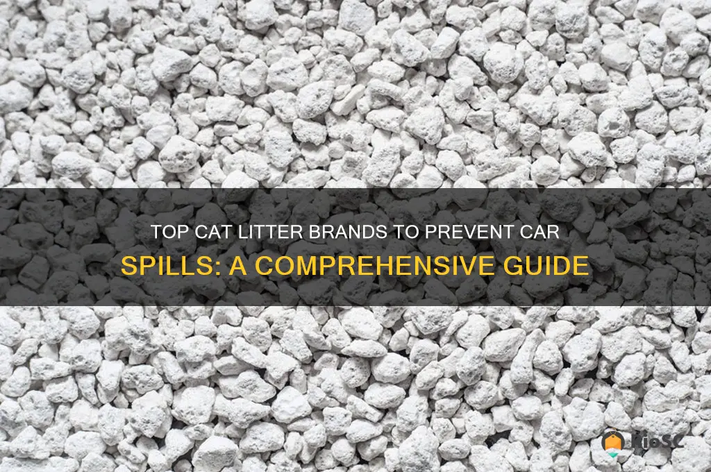 best cat litter brand for car spill