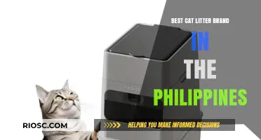 Top-Rated Cat Litter Brands in the Philippines: A Comprehensive Guide for Pet Owners