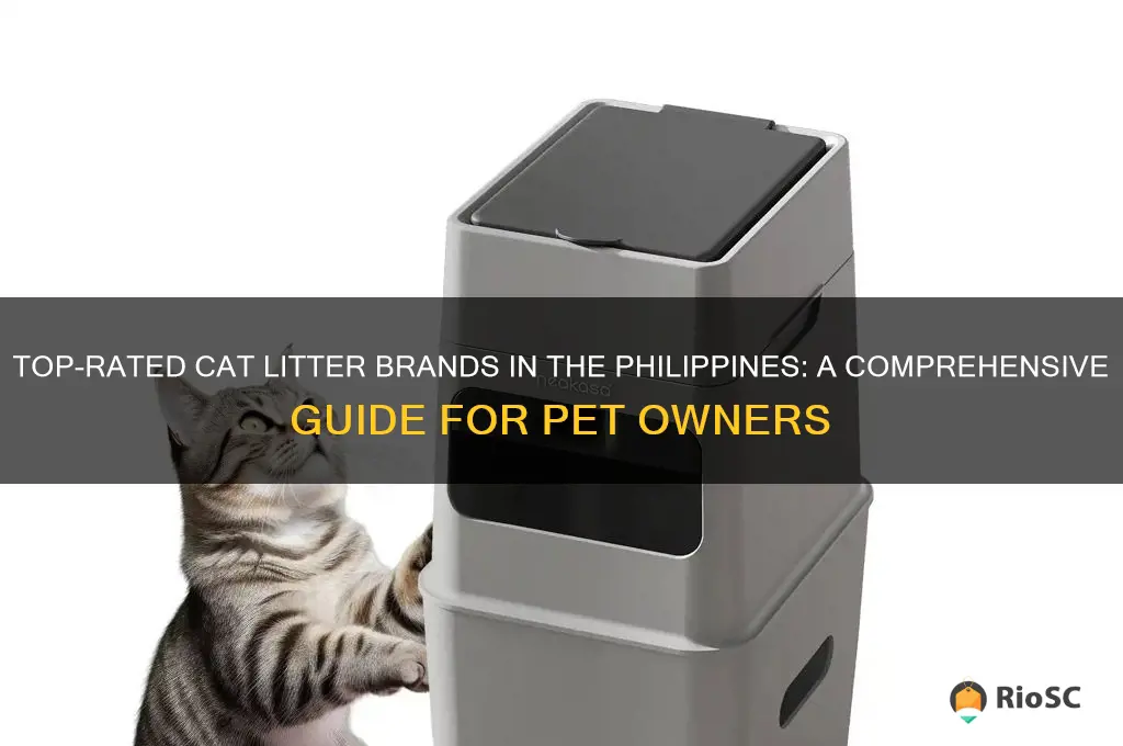 best cat litter brand in the philippines