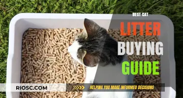 Purr-fect Choices: Your Ultimate Guide to Selecting the Best Cat Litter
