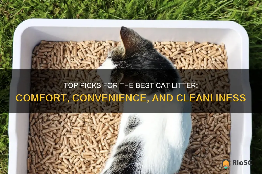 best cat litter c