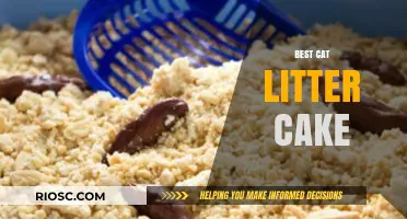 Purr-fectly Delicious: The Ultimate Guide to Making the Best Cat Litter Cake