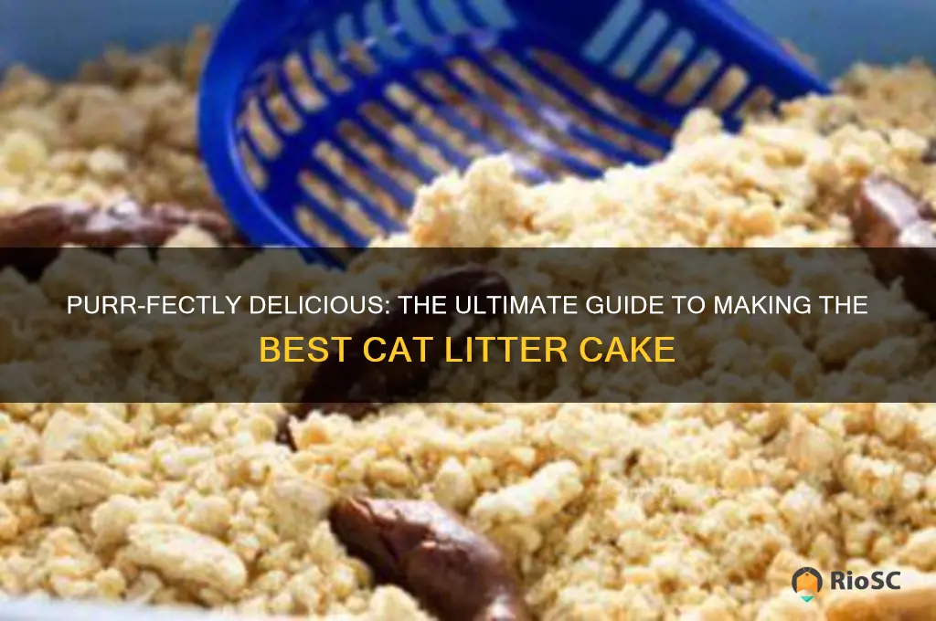 best cat litter cake