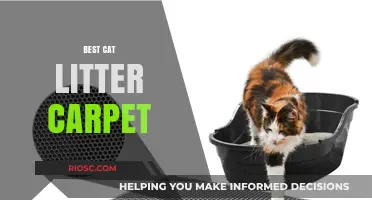 Top Picks for Cat Litter Carpets: Keep Your Home Clean and Your Cat Happy