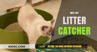 Top-Rated Cat Litter Catchers to Keep Your Home Clean and Tidy