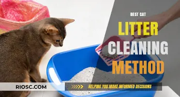 Efficient and Hygienic: The Ultimate Guide to the Best Cat Litter Cleaning Method