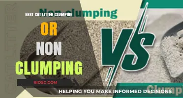 Clumping vs. Non-Clumping Cat Litter: Which Is the Best Choice for Your Feline Friend?