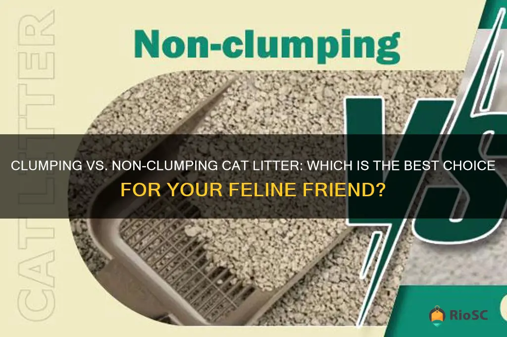 best cat litter clumping or non clumping