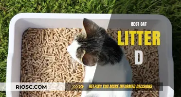 Top Picks for the Best Cat Litter: Discover the Perfect 'D' Option for Your Feline Friend