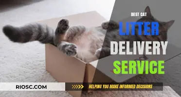 Purr-fect Convenience: Top Cat Litter Delivery Services for Busy Pet Owners