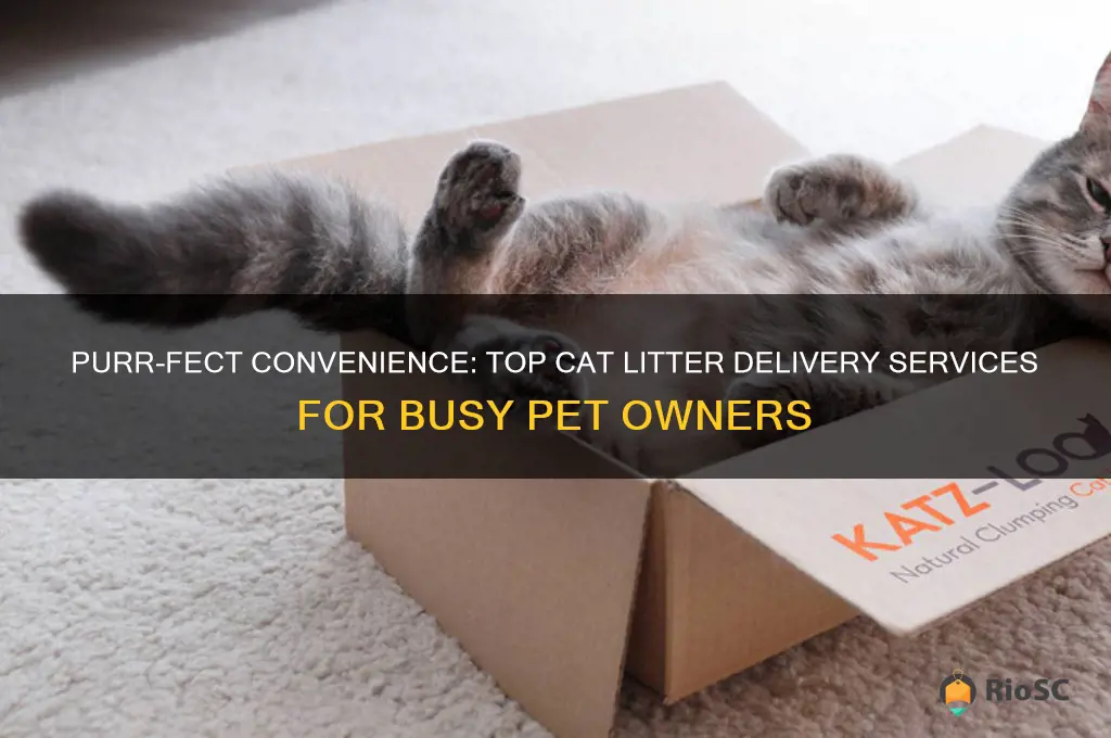 best cat litter delivery