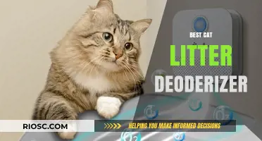 Freshen Up Your Home: Top Cat Litter Deodorizers for Odor-Free Living