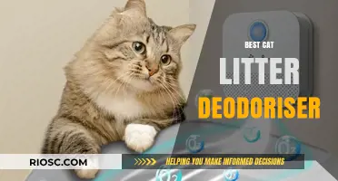 Freshen Up Your Cat's Litter Box: Top Cat Litter Deodorizers for Odor-Free Living