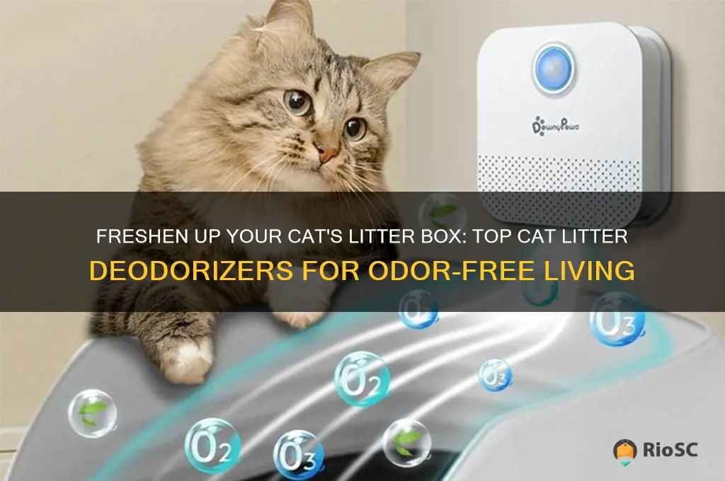 best cat litter deodoriser