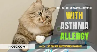 Effective Cat Litter Deodorizers for Asthmatic Cats: Safe and Allergy-Friendly Solutions