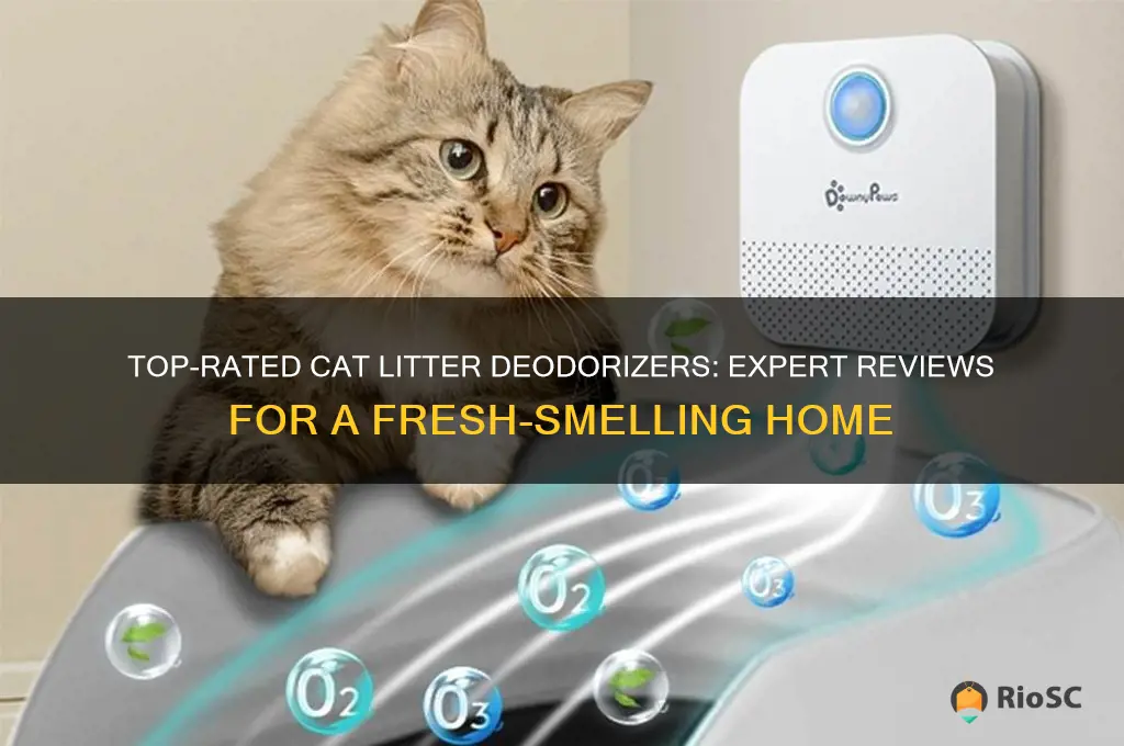best cat litter deodorizer reviews