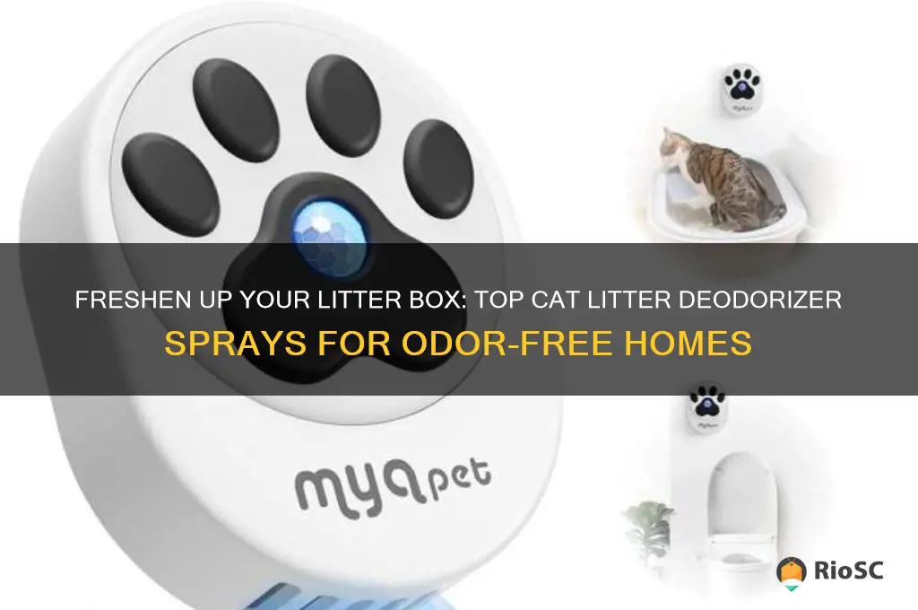 best cat litter deodorizer spray