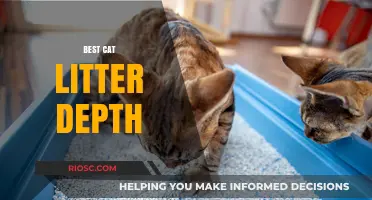 Optimal Cat Litter Depth: Finding the Perfect Balance for Your Feline’s Comfort and Cleanliness