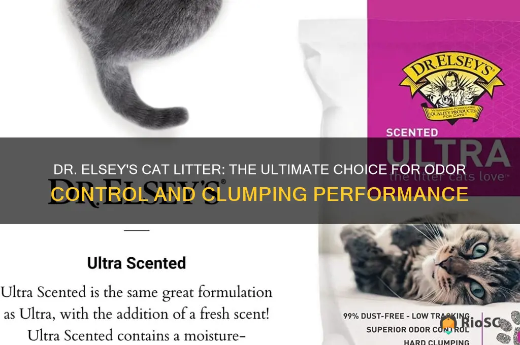 best cat litter dr elsey