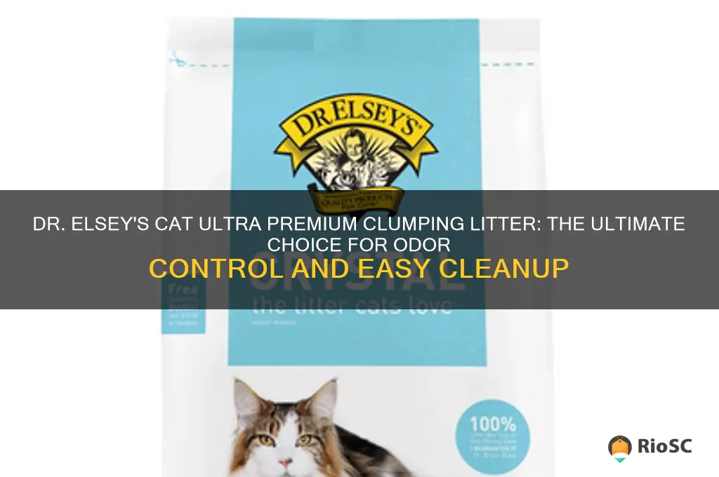 best cat litter dr elsey