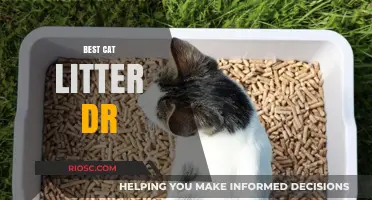 Top Picks for the Best Cat Litter: Doctor-Recommended Options for a Healthy and Happy Feline