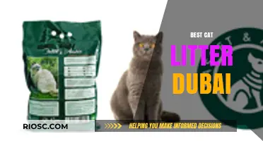Top Picks for the Best Cat Litter in Dubai: Keeping Your Feline Friend Happy and Healthy