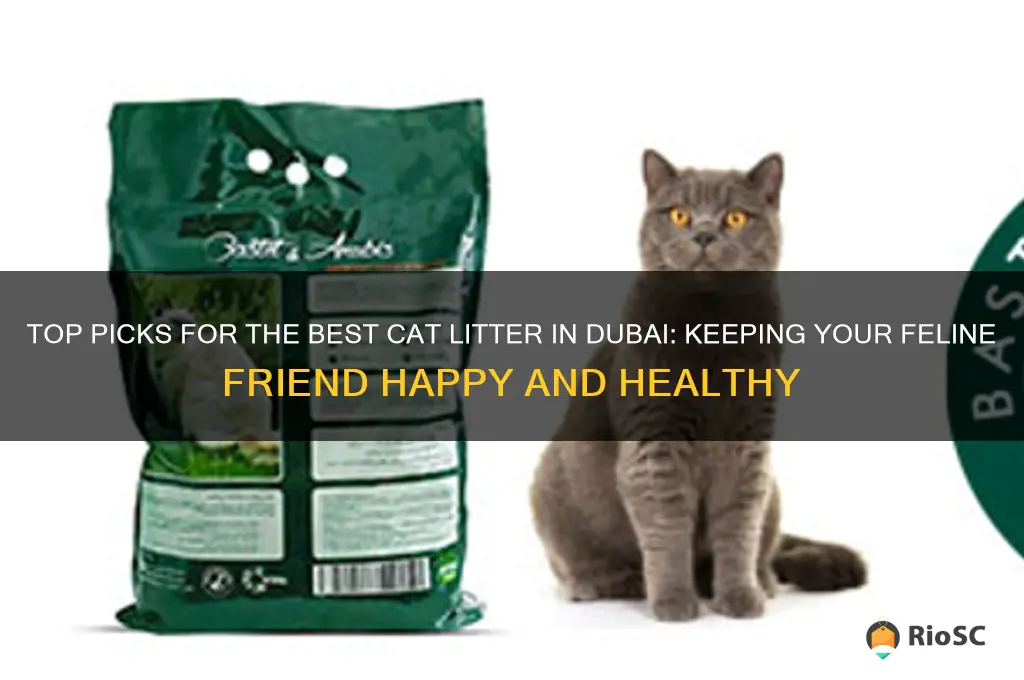 best cat litter dubai