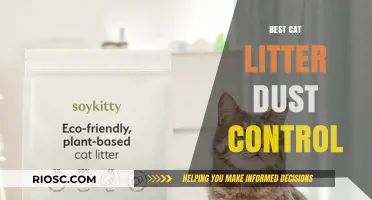Top Cat Litter Options for Maximum Dust Control: Keep Your Home Clean and Healthy
