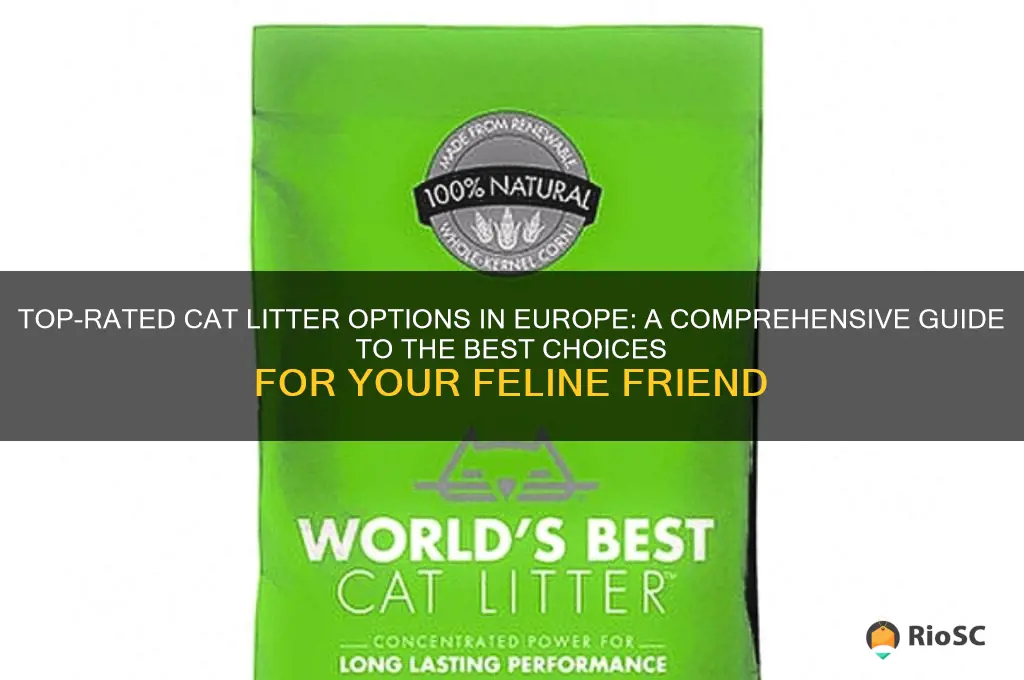 best cat litter europe