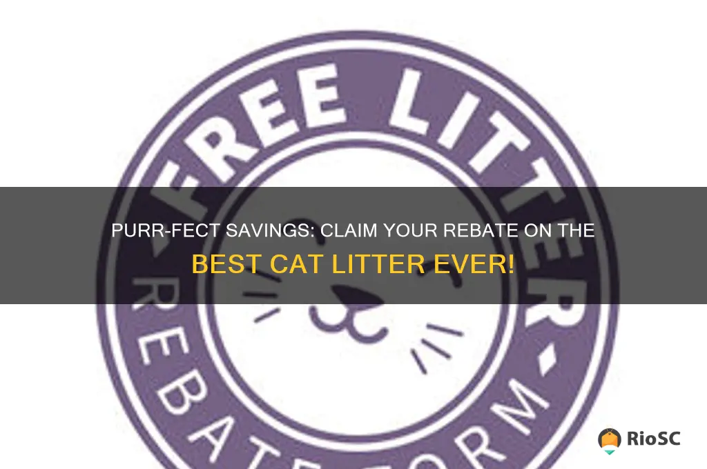 best cat litter ever rebate