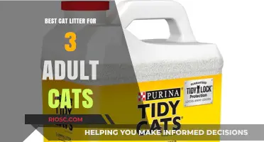 Top-Rated Cat Litter Solutions for Multi-Cat Households: Best Options for 3 Adult Cats