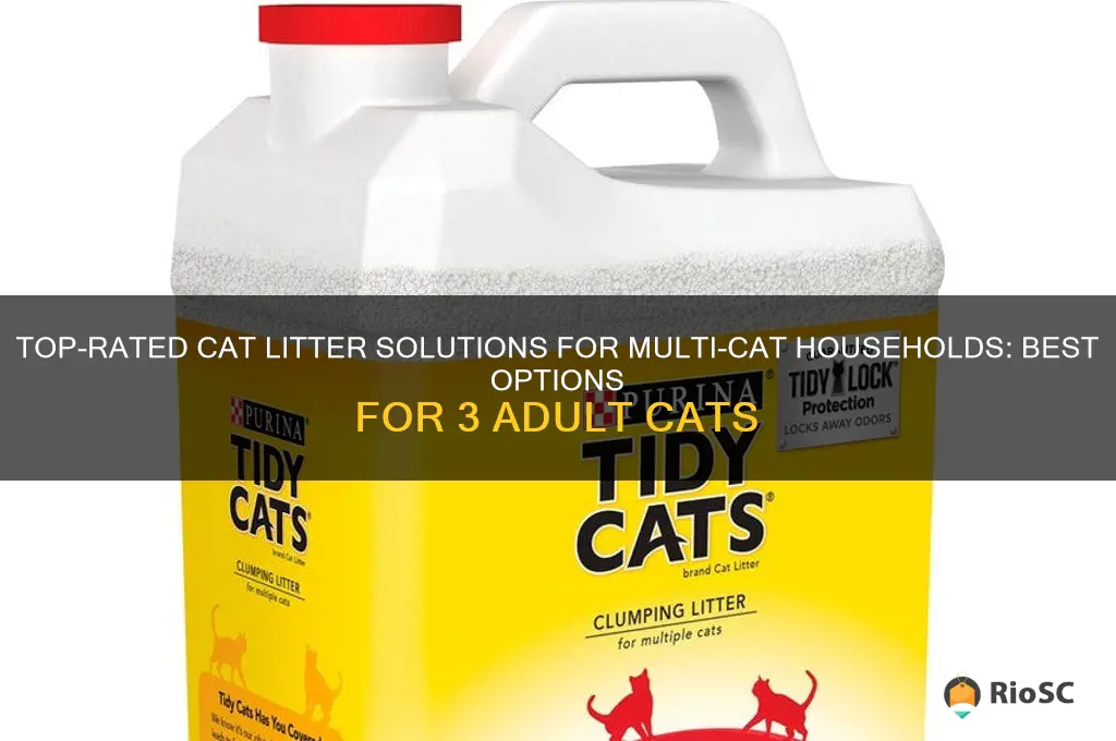 best cat litter for 3 adult cats
