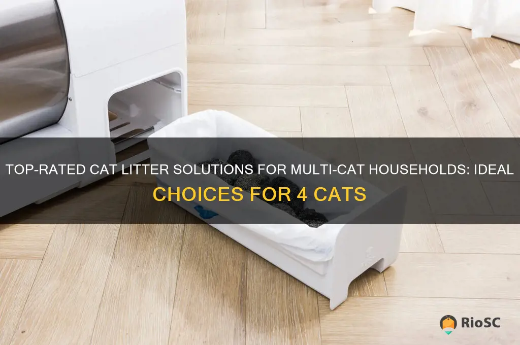 best cat litter for 4 cats