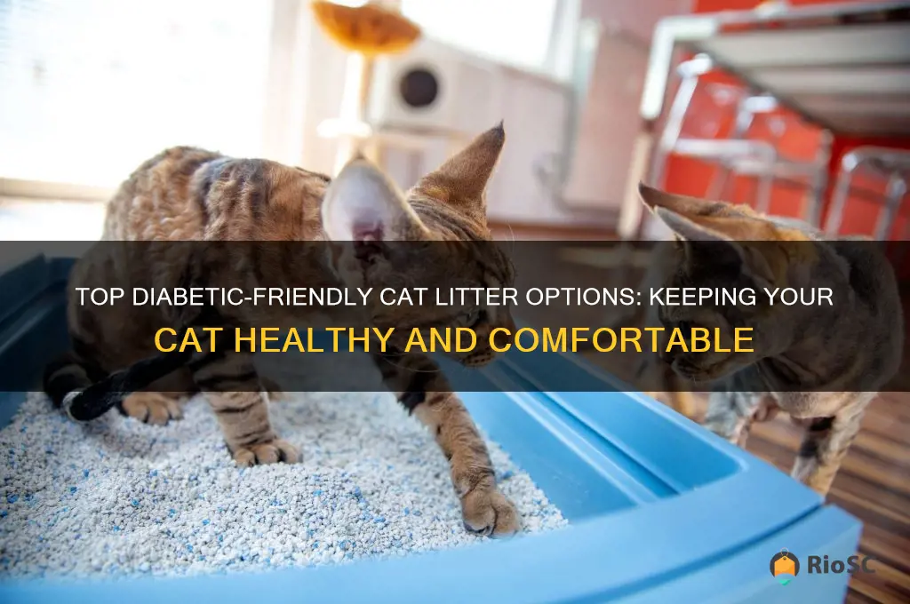 best cat litter for a diabetic cat