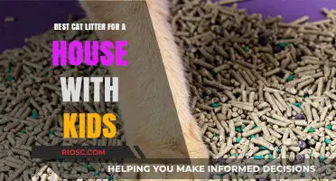 Kid-Friendly Cat Litter: Top Picks for a Clean and Safe Home