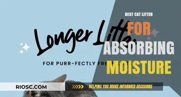 Top Moisture-Absorbing Cat Litter Options for a Dry and Odor-Free Home