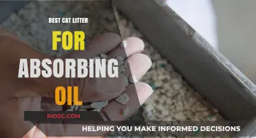 Top Oil-Absorbing Cat Litter Options for a Cleaner, Fresher Home