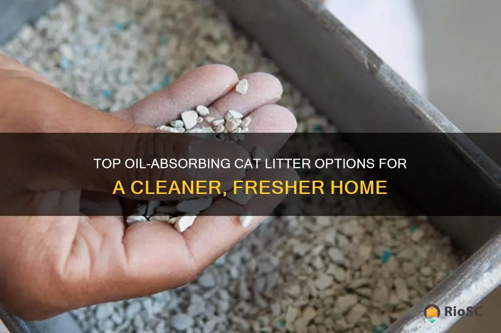 best cat litter for absorbing oil