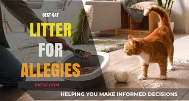 Hypoallergenic Cat Litter Solutions: Top Picks for Allergy Sufferers