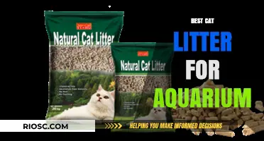 Aquarium-Safe Cat Litter: Top Picks for a Clean and Healthy Environment