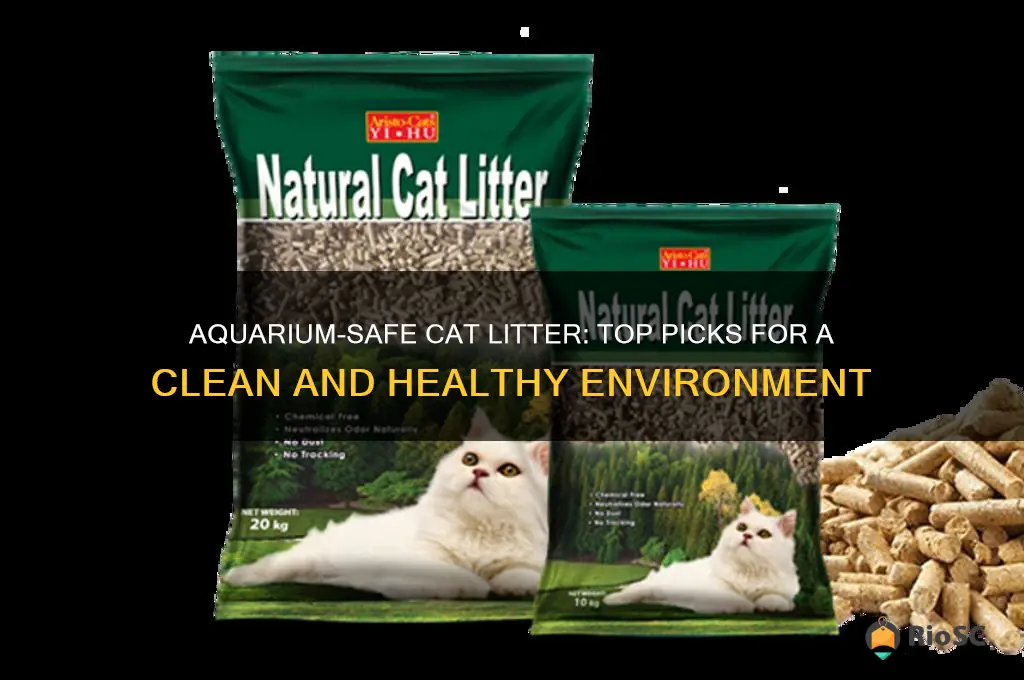 best cat litter for aquarium