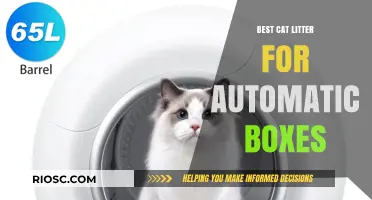 Top Picks: Best Cat Litter for Automatic Litter Boxes – Efficiency Meets Cleanliness