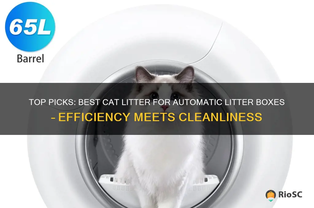 best cat litter for automatic boxes