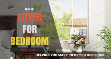 Top Bedroom-Friendly Cat Litter Options: Odor Control, Low Dust, and Quiet for Peaceful Nights