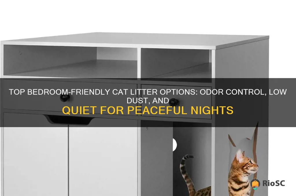 best cat litter for bedroom