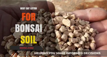 Enhance Your Bonsai Soil with the Best Cat Litter Alternatives for Optimal Growth