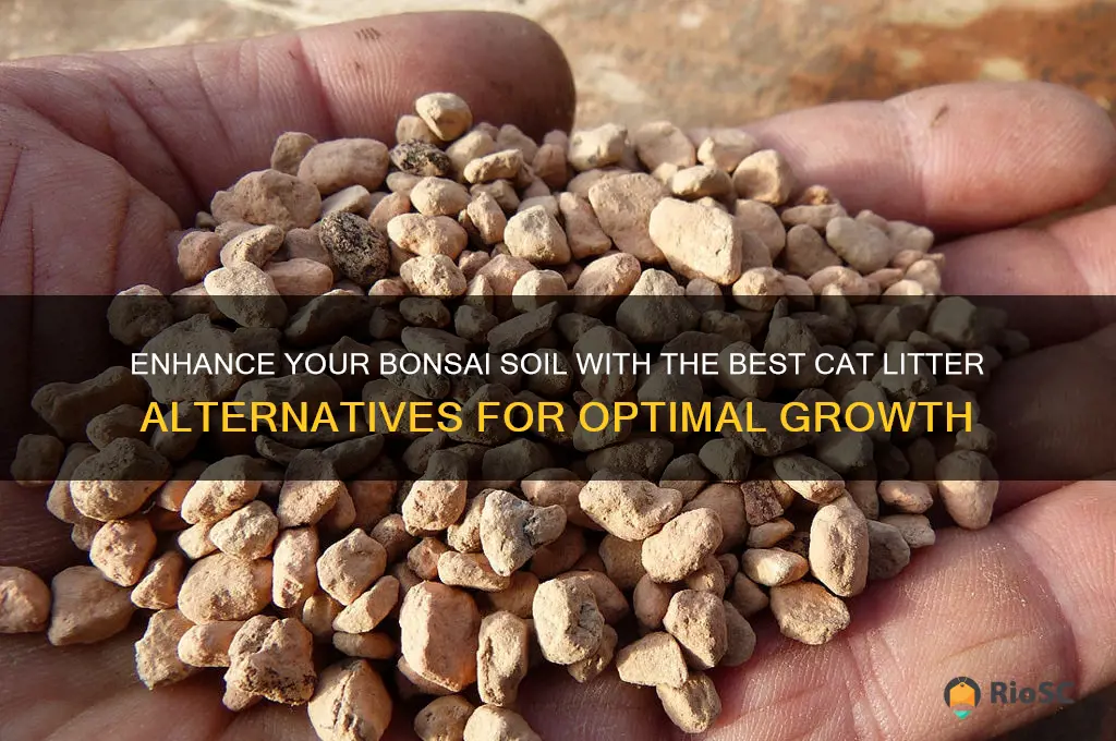 best cat litter for bonsai soil